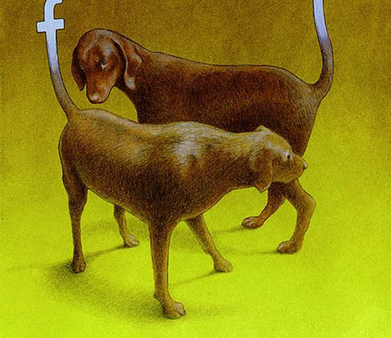Ilustrações criativas sobre o facebook (4)