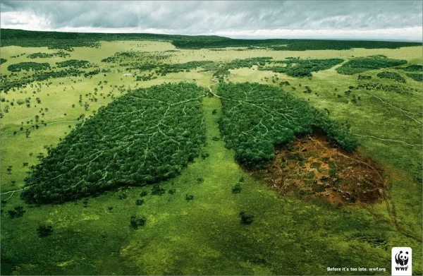 Anúncios criativo da semana, propaganda publicitária criativa para inspiração de designers e publicitários. (17)