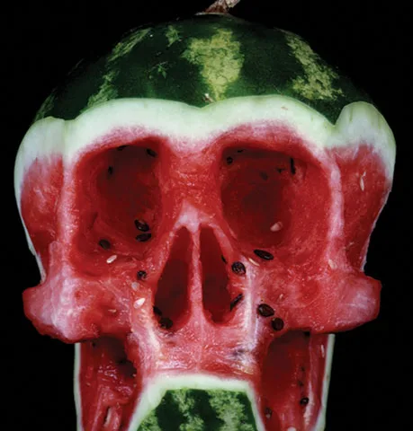 Caveiras feitas com partes de frutas e vegetais por Dimitri Tsykalov (2)