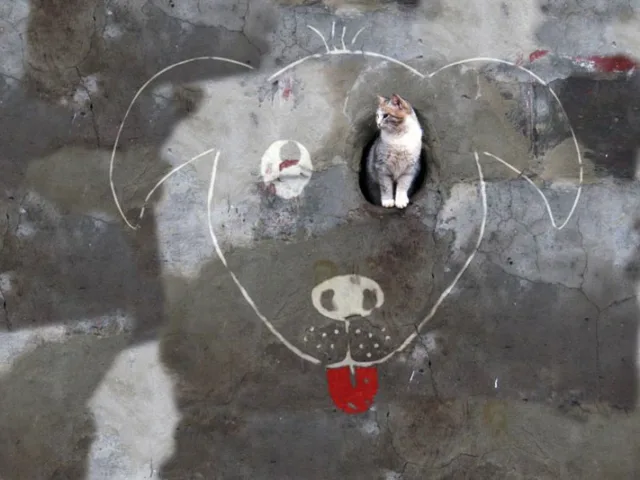Arte urbana minima mas com uma criatividade colossal (1)