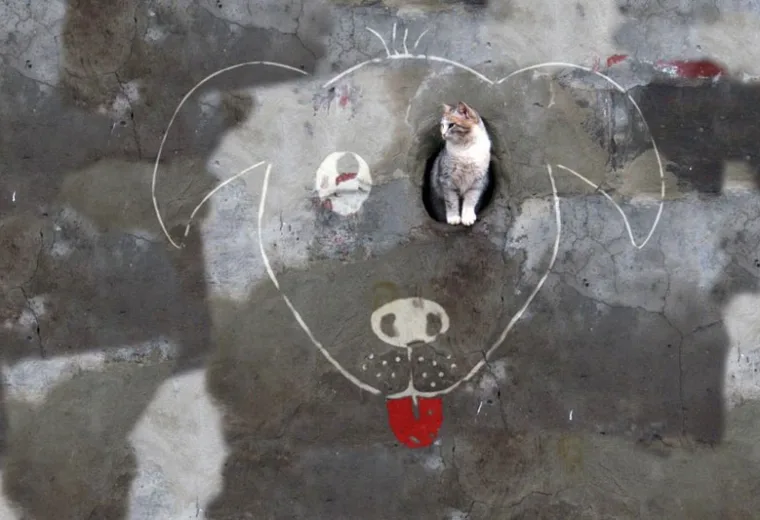 Arte urbana minima mas com uma criatividade colossal (1)