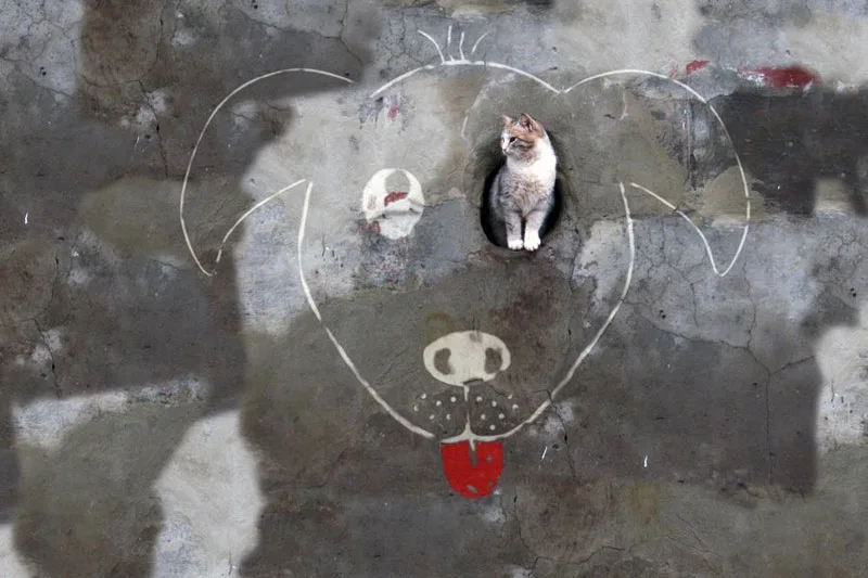 Arte urbana minima mas com uma criatividade colossal (1)
