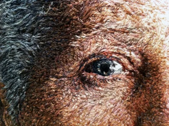 Você acredita que estes retratos são feitos em bordados de Cayce Zavaglia (5)