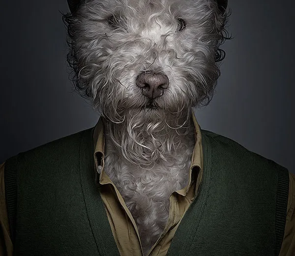 Underdog - Projeto em que o fotógrafo coloca cães com roupas (2)