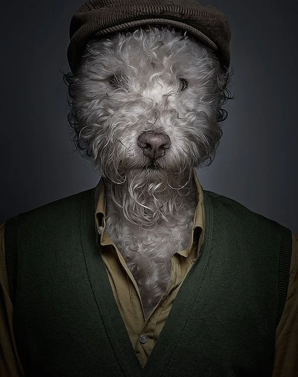 Underdog - Projeto em que o fotógrafo coloca cães com roupas (2)