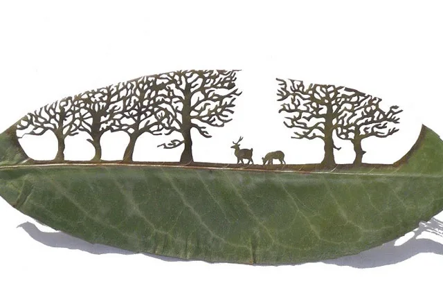 Incríveis desenhos feitos em uma simples folha seca de arvore, sensacional! (1)