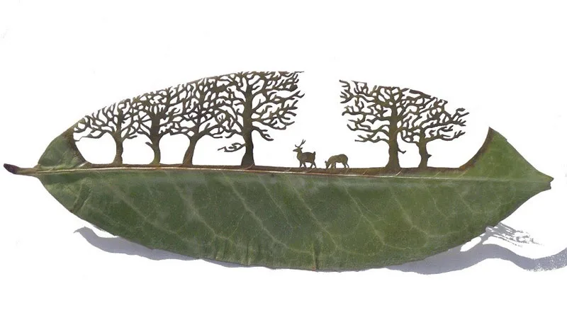 Incríveis desenhos feitos em uma simples folha seca de arvore, sensacional! (1)