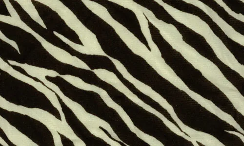 Pele de zebra em texturas para você baixar grátis (19)