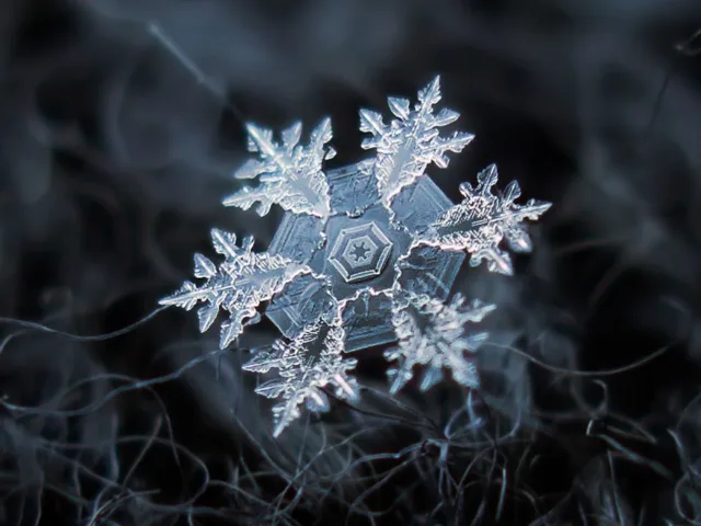 Imagens incriveis capturadas por Alexey Kljatov, flocos de neve em fotografias macro (7)