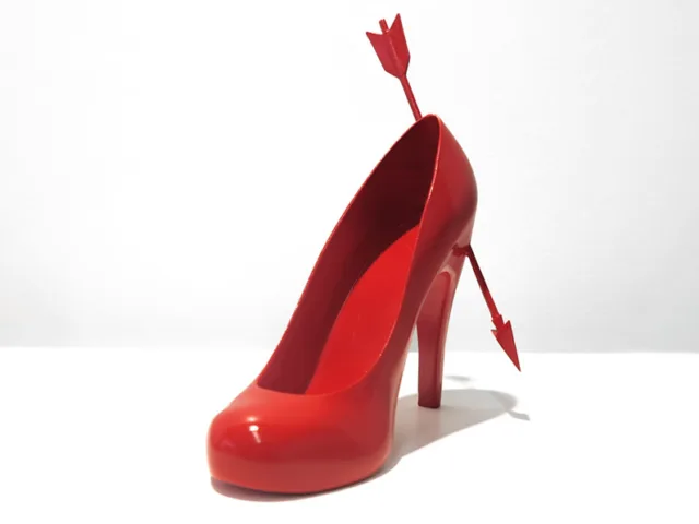 Sapatos femininos e o romance por traz deles (20)