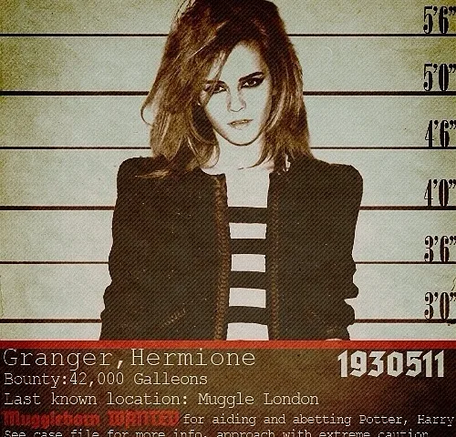 Cartazes criativos de personagens do filme Harry Potter foragidos (5)