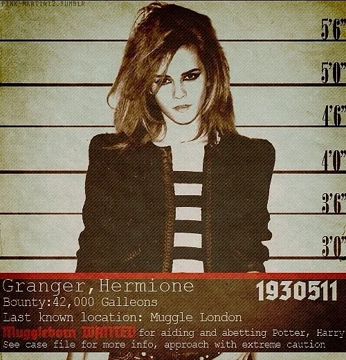 Cartazes criativos de personagens do filme Harry Potter foragidos (5)