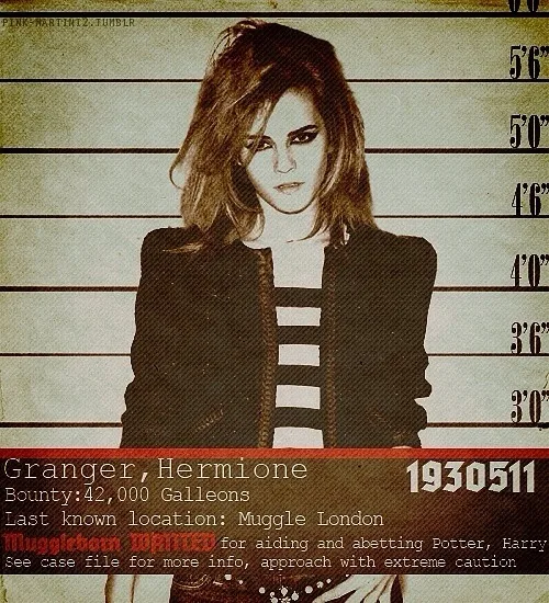 Cartazes criativos de personagens do filme Harry Potter foragidos (5)