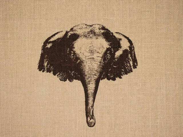 Ilustrações inspiradoras e criativas de animais (2)