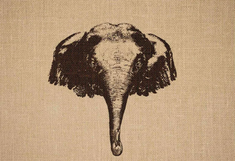 Ilustrações inspiradoras e criativas de animais (2)