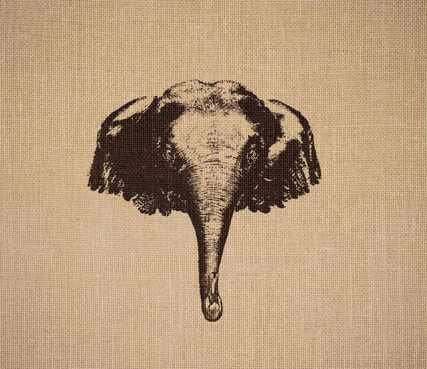 Ilustrações inspiradoras e criativas de animais (2)