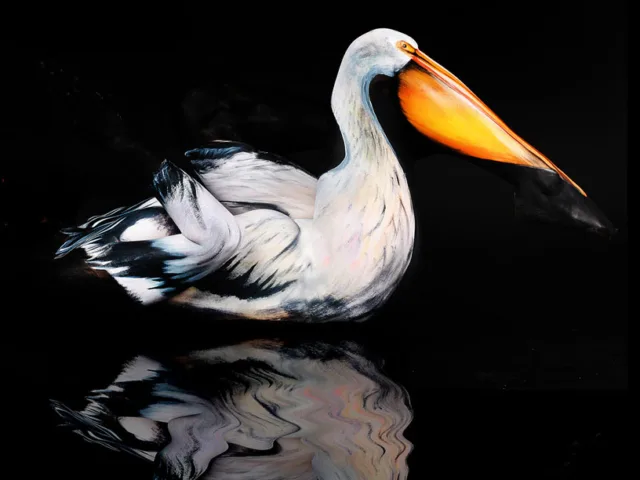 Pinturas criativas em corpos feitas por Gesine Marwedel (13)