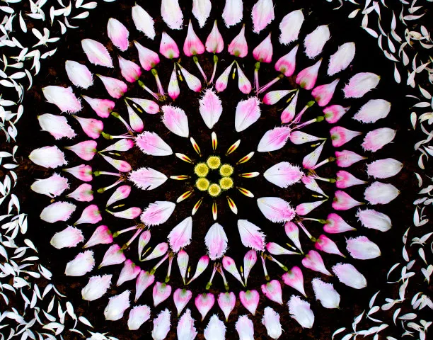 Mandalas feitas com flores e plantas por Kathy Klein (11)