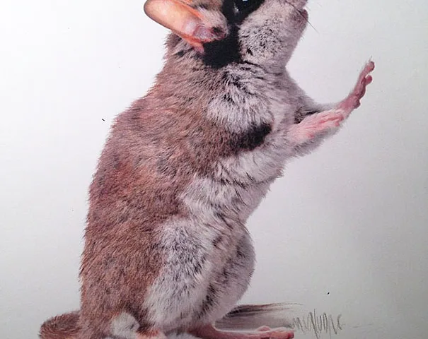 Desenhos realistas de Karla Mialynne (7)
