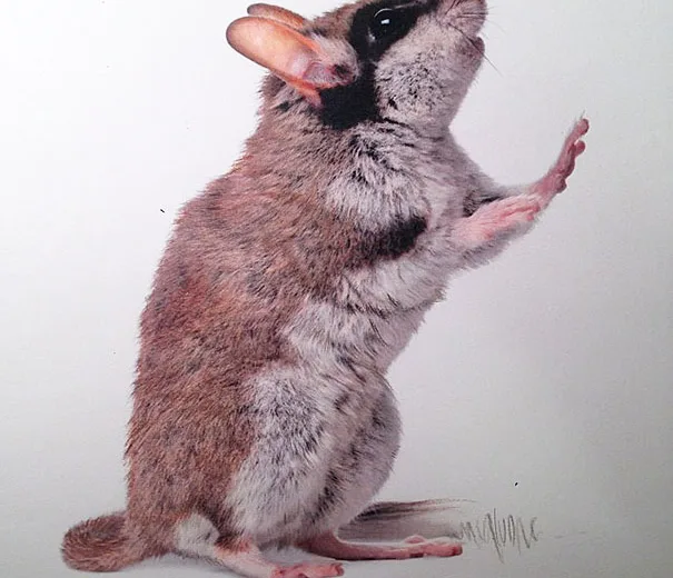 Desenhos realistas de Karla Mialynne (7)
