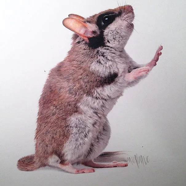 Desenhos realistas de Karla Mialynne (7)