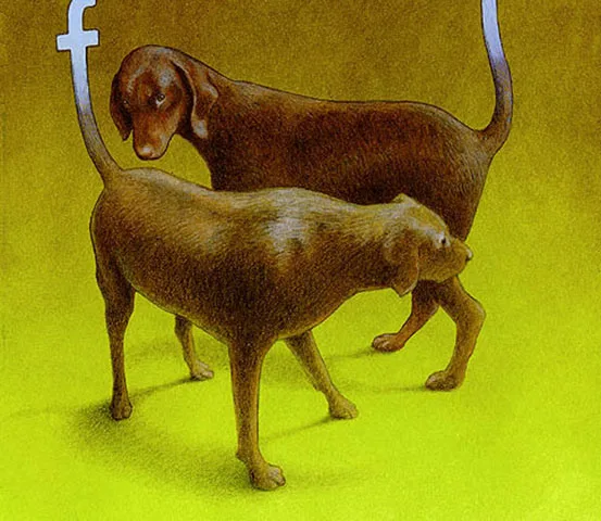 Ilustrações criativas sobre o facebook (4)