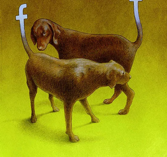 Ilustrações criativas sobre o facebook (4)
