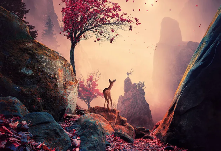 Fotos criativas e inspiradoras (13)