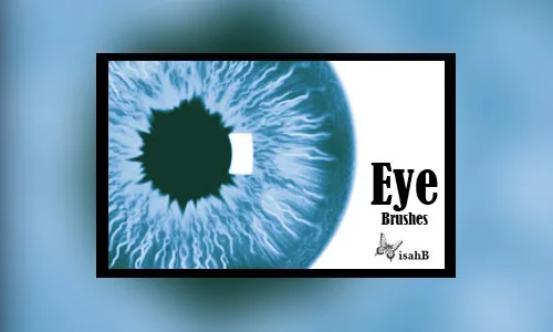 Brushes de olhos, cílios e relacionados para você baixar (12)
