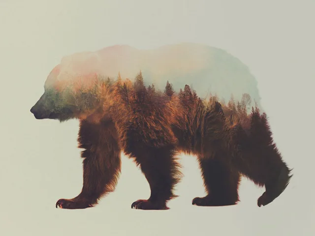 Fotografias inspiradas em animais e paisagens (2)