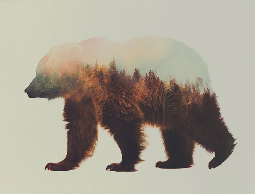 Fotografias inspiradas em animais e paisagens (2)