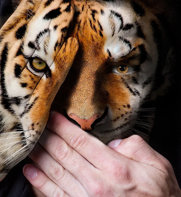 Série fotográfica contra zoológicos (4)