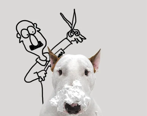 Fotos criativas de cachorro (12)