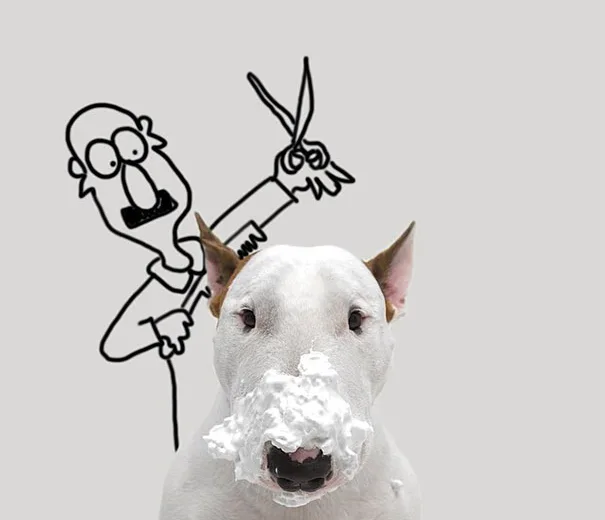 Fotos criativas de cachorro (12)