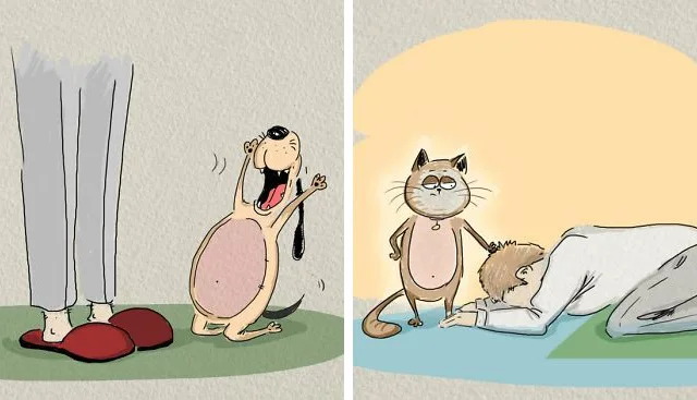 Ilustrações com a comparação de personalidades entre gatos e cachorros (7)