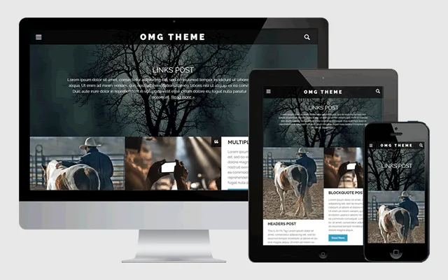 Temas para wordpress gratis (26)