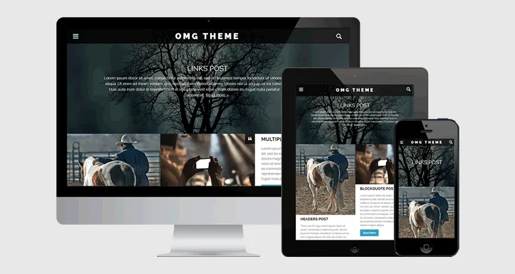 Temas para wordpress gratis (26)
