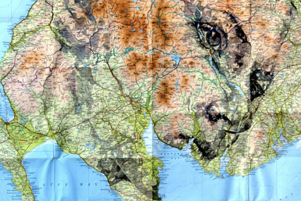 Ed Fairburn e suas pinturas em vários relevos e ambientes, veja estas pinturas mais famosas deste artista (3)