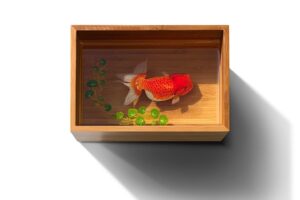 Keng Lye e suas pinturas 3d feitas em pratos e vasilhas (3)