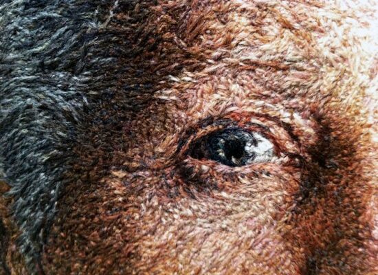 Você acredita que estes retratos são feitos em bordados de Cayce Zavaglia (5)