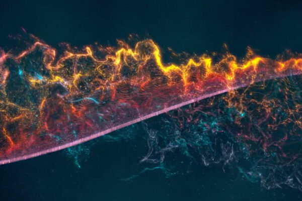 Animação fantástica produzida por Daniel Serra