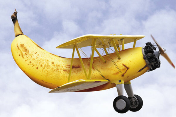 dicas e referências para você fazer sua nova arte com comidas (17)