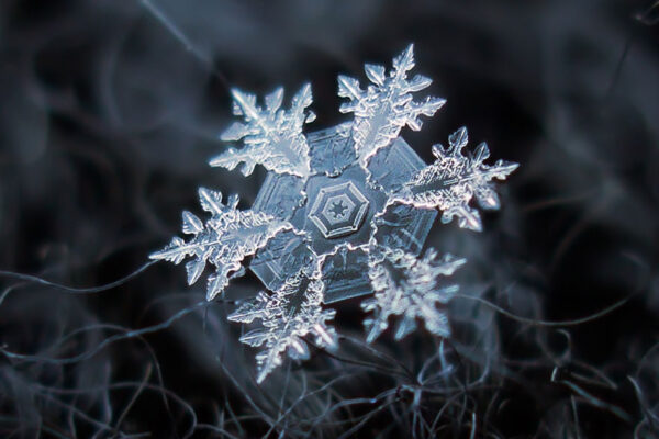 Imagens incriveis capturadas por Alexey Kljatov, flocos de neve em fotografias macro (7)