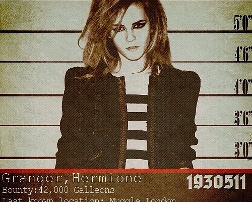 Cartazes criativos de personagens do filme Harry Potter foragidos (5)