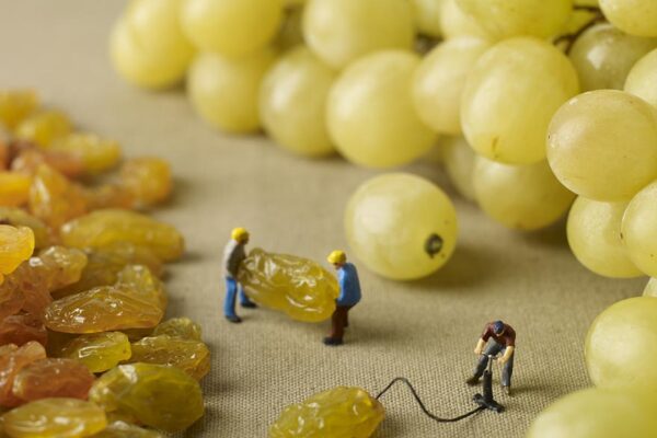 Akiko Ida e Pierre Javelle criam um set de imagens onde os seres humanos vivem em um mundo de doces e muita comida (19)