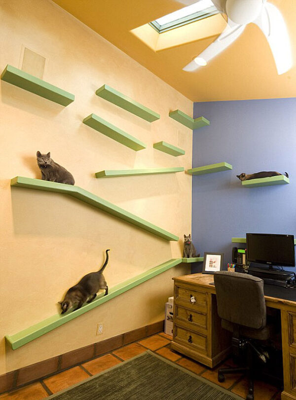 Casa totalmente projetada para gatos (3)
