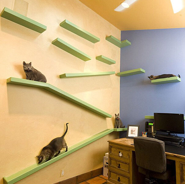 Casa totalmente projetada para gatos (3)