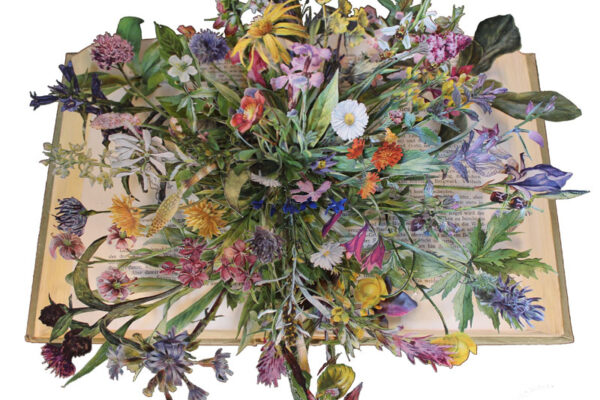 Livros antigos reconstruídos por Kerry Miller (5)