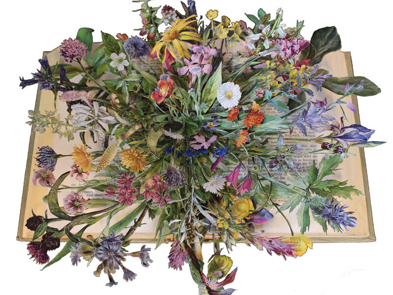 Livros antigos reconstruídos por Kerry Miller (5)