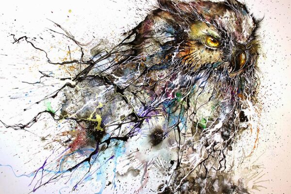 Pinturas de corujas super criativas e inspiradoras (5)